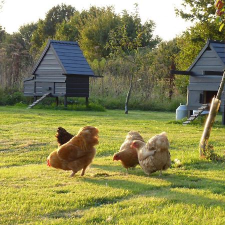 Готель The Oaks Glamping - Magpie Half Shepherds Hut Colkirk Екстер'єр фото